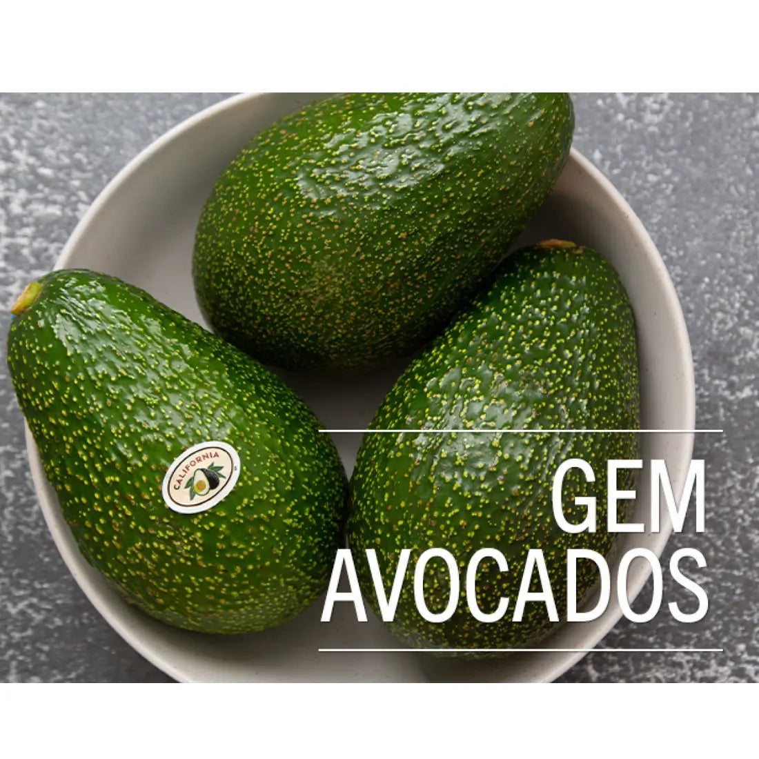 GEM Avocado Tree 36 Gallon