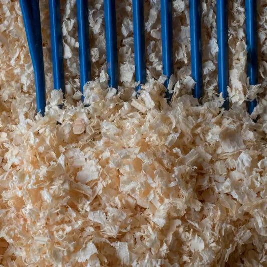 Guinea Pig Shavings flakes