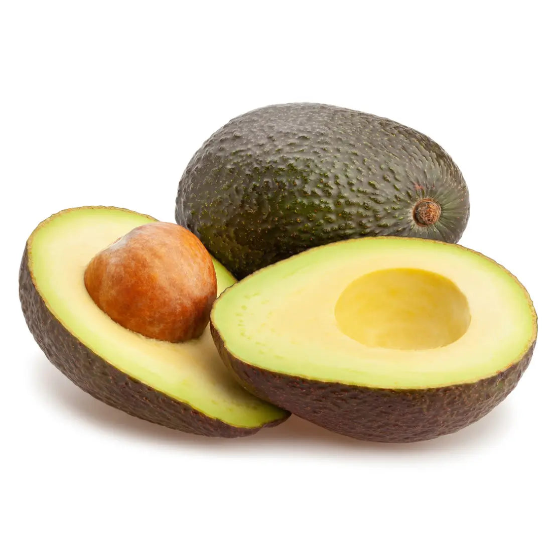 Hass Avocado Tree 15 Gallon