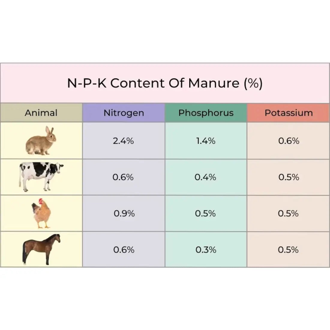Hass Avocado Tree Specs