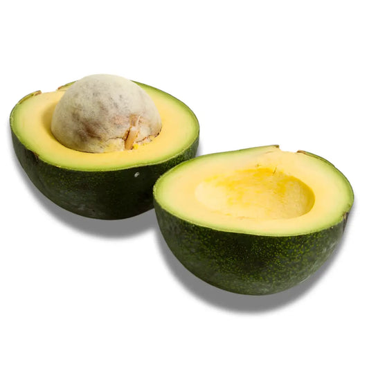 Reed Avocado Tree 5 Gallon