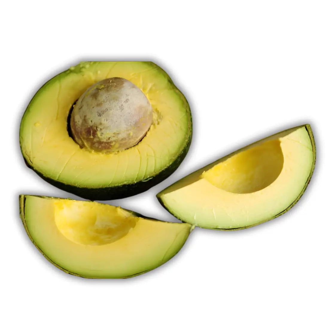 Reed Avocado Tree 7 Gallon