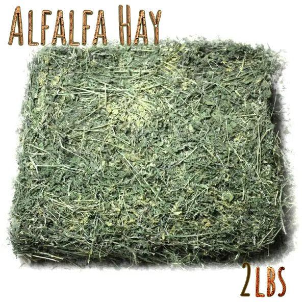 Alfalfa Hay for Rabbits & Small Pets 2 lbs
