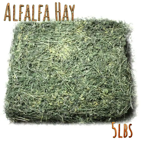  Bale of alfalfa hay with 'Alfalfa Hay' text and '5 lbs' weight indication on a white background.