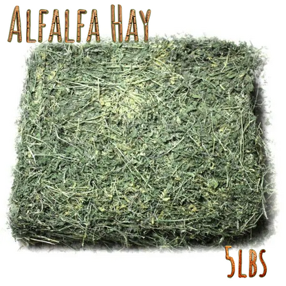  Bale of alfalfa hay with 'Alfalfa Hay' text and '5 lbs' weight indication on a white background.