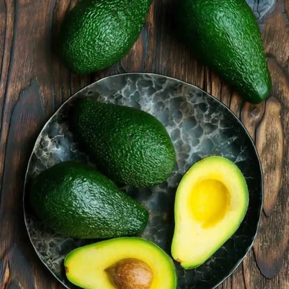 Bacon Avocado Tree 24 Gallon