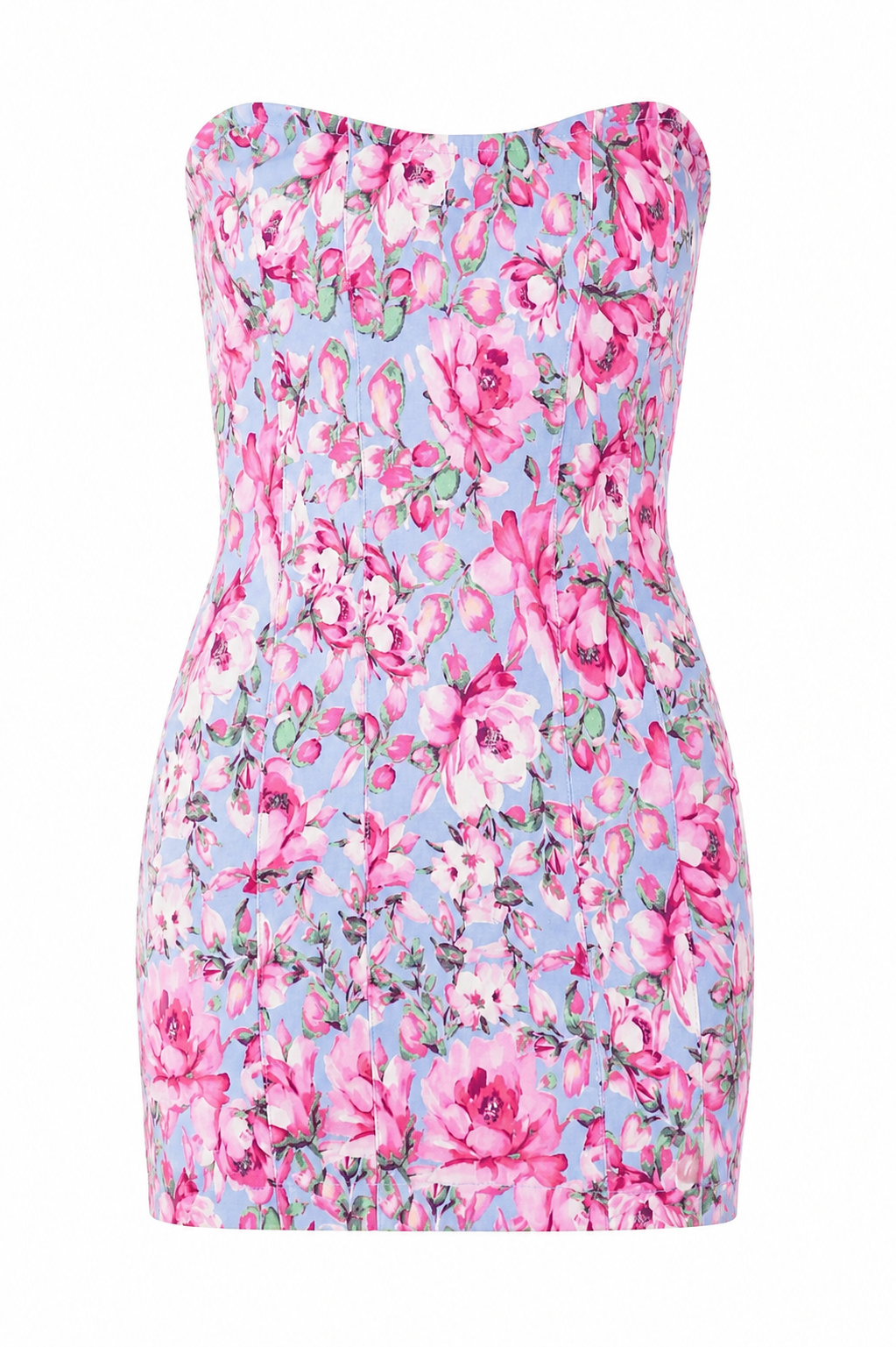 Blue Pink Floral Mini Dress White Background