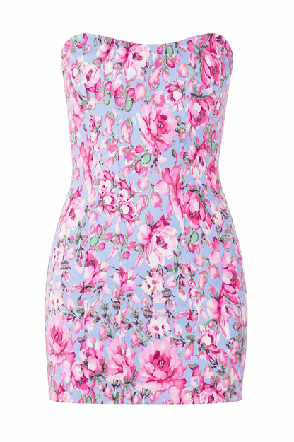 Blue Pink Floral Mini Dress White Background