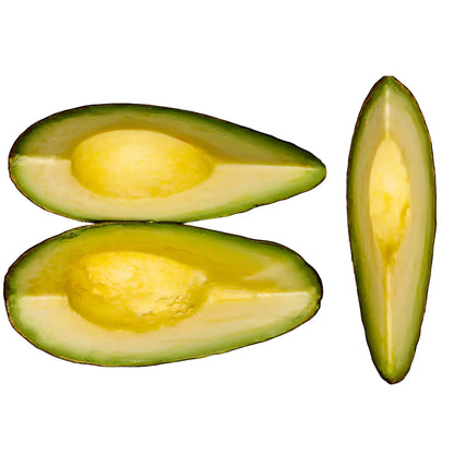 Fuerte Avocado Tree 15 Gallon