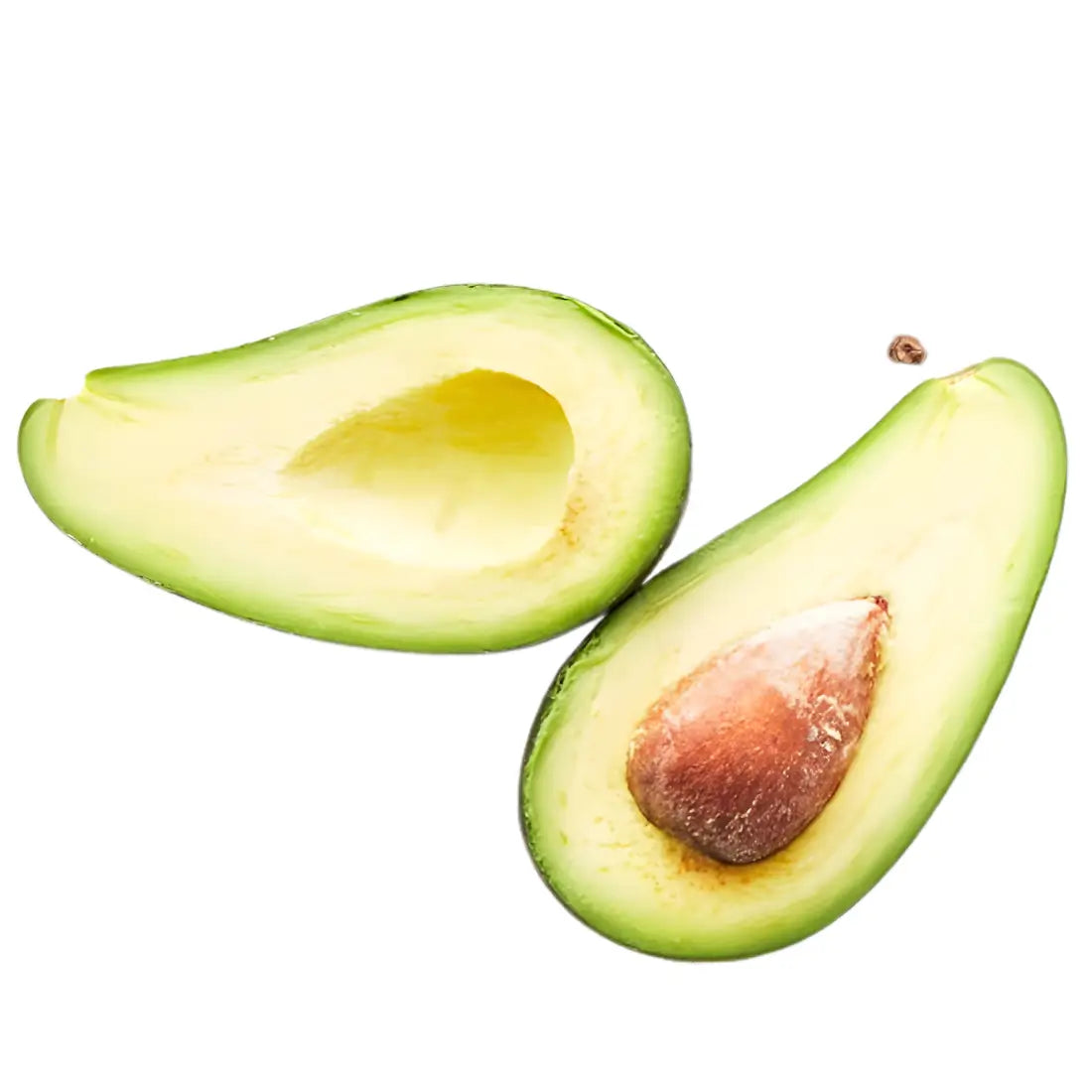 Fuerte Avocado Tree 7 Gallon