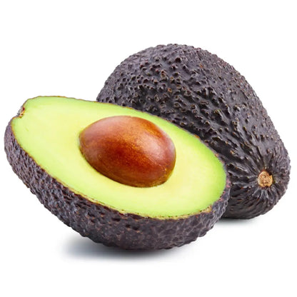 GEM Avocado Tree 15 Gallon