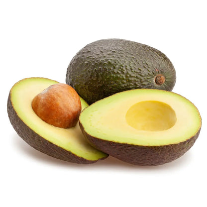 Hass Avocado Tree 15 Gallon