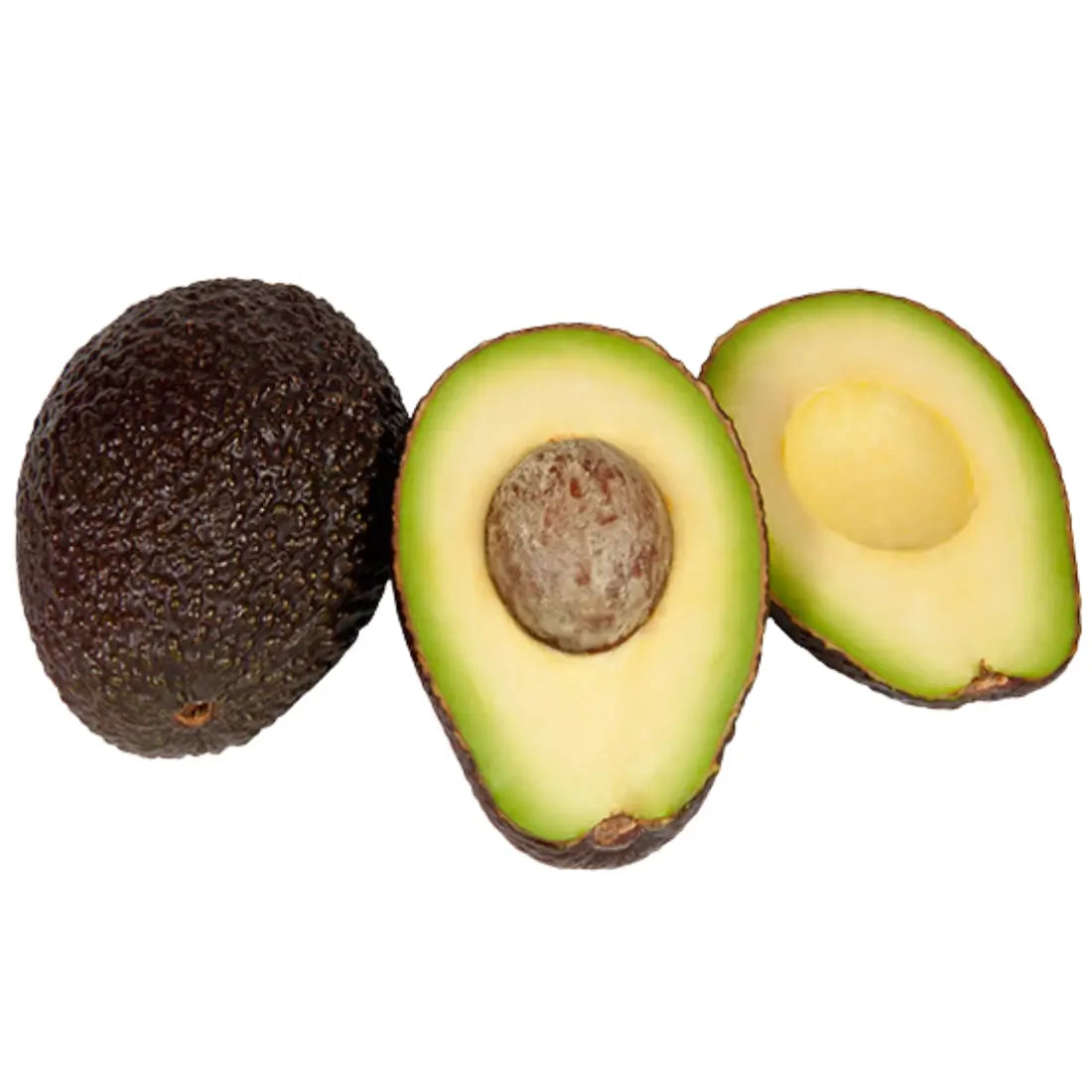 Lamb Hass Avocado Tree 15 Gallon