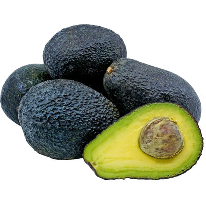 Lamb Hass Avocado Tree 36 Gallon