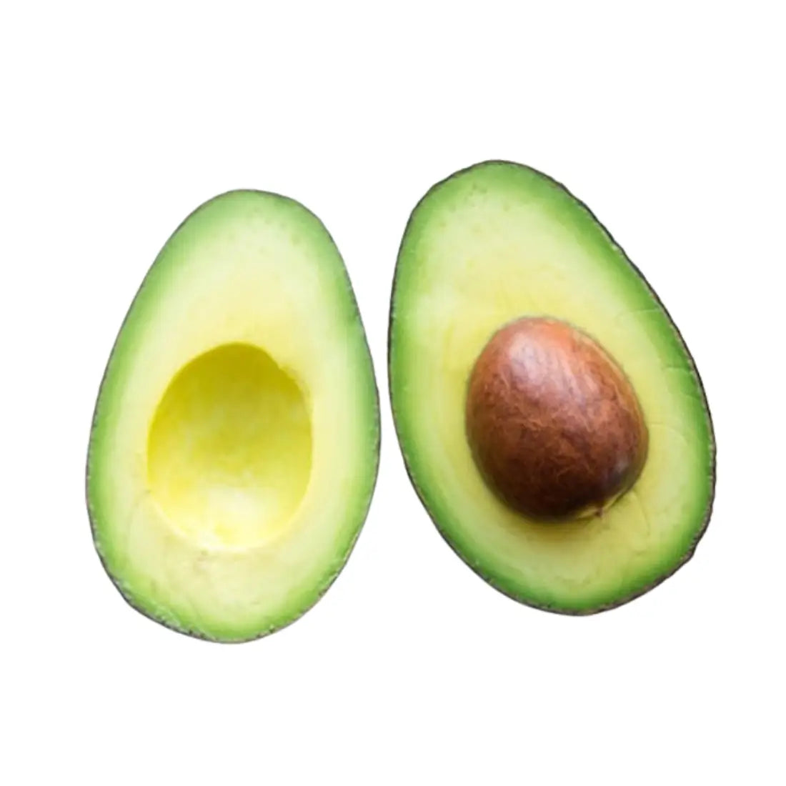 Lamb Hass Avocado Tree 5 Gallon