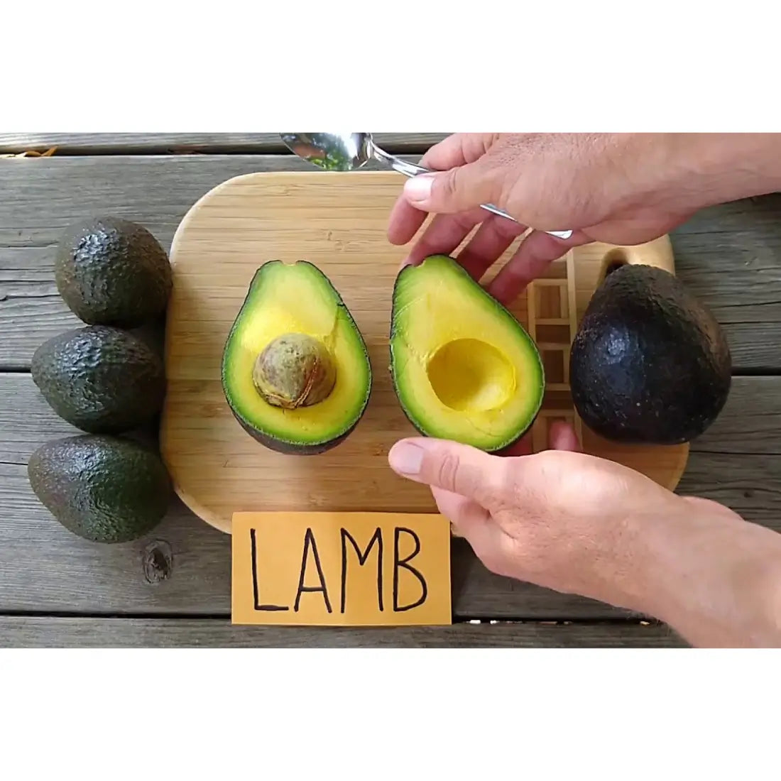 Lamb Hass Avocado