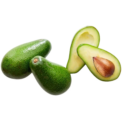 Pinkerton Avocado Tree 15 Gallon