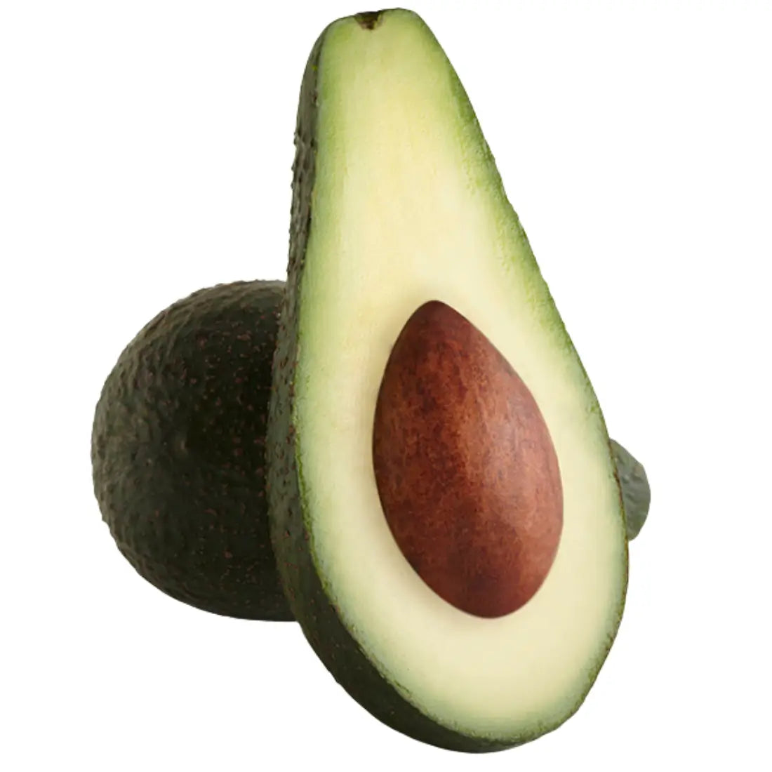 Pinkerton Avocado Tree 5 Gallon