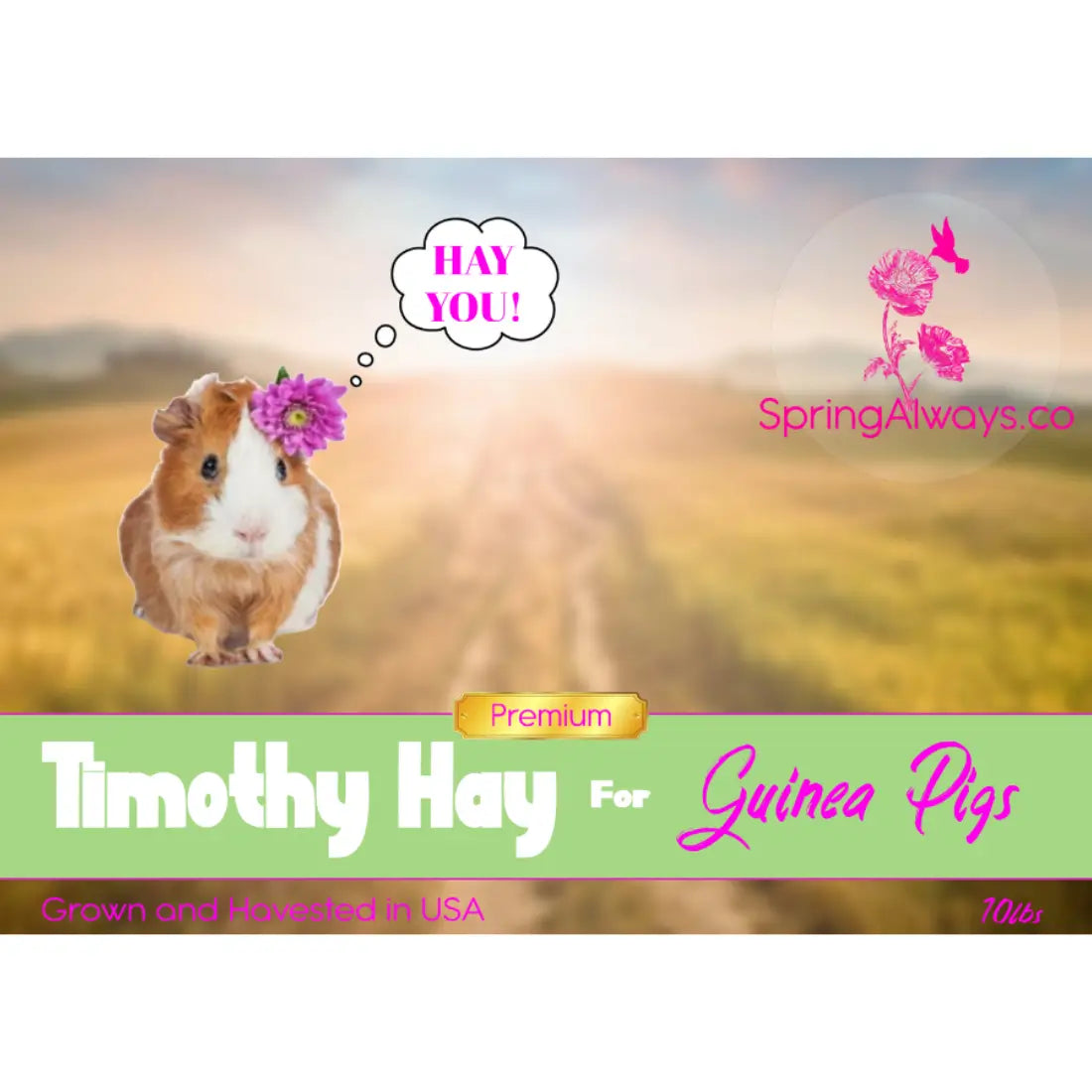 Premium Timothy Hay Guinea Pigs