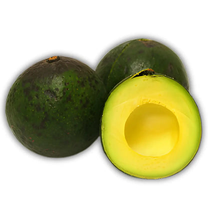 Reed Avocado Tree 24 Gallon