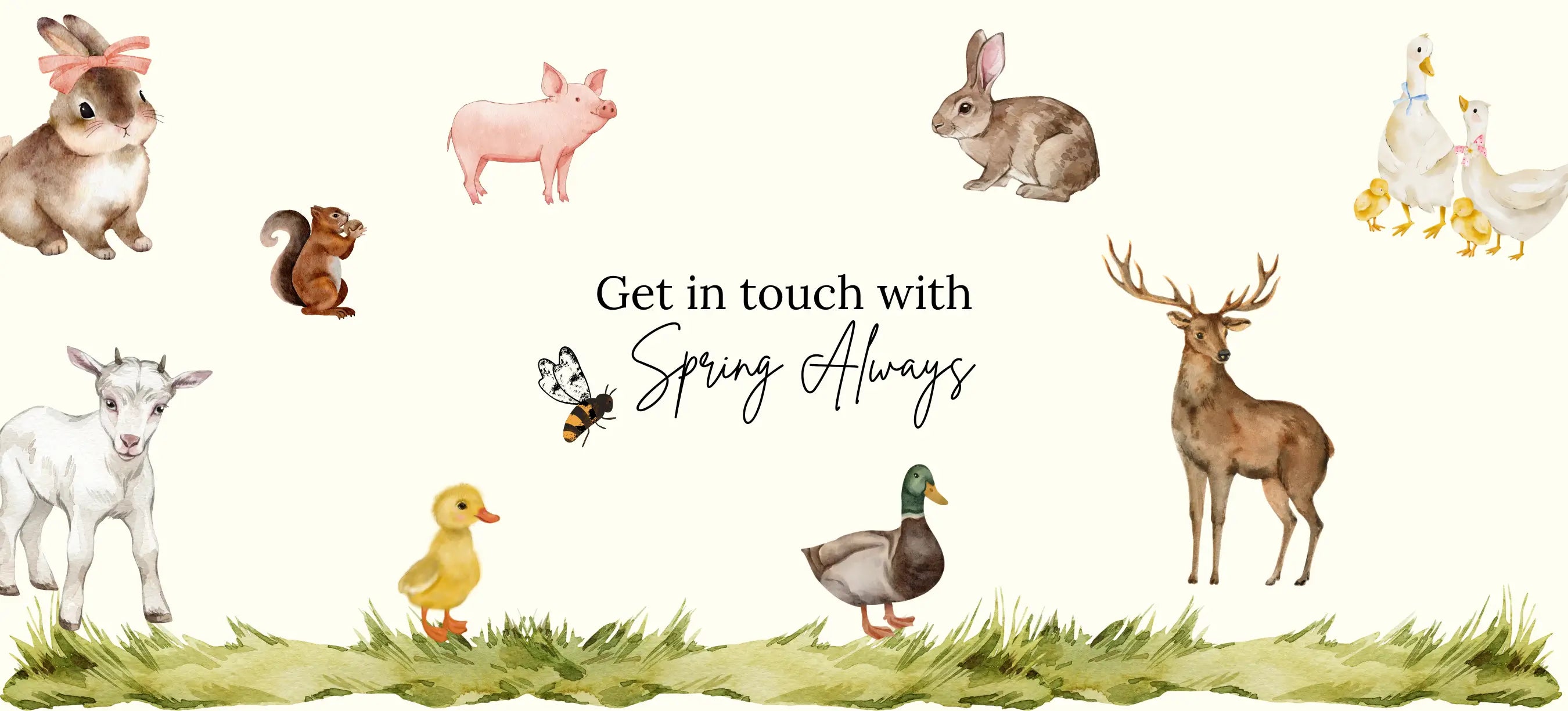 Spring Always Contact