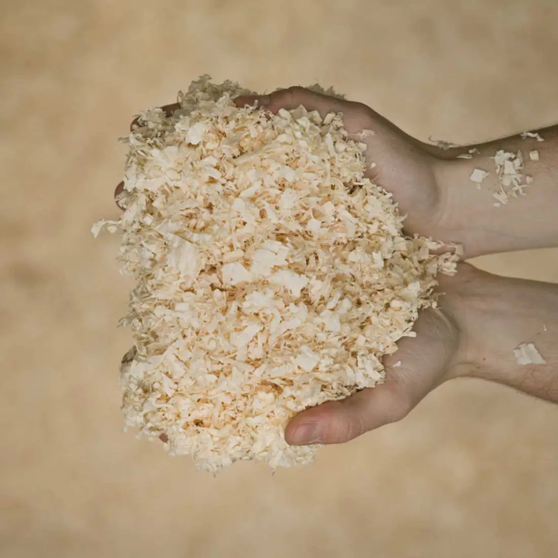 Spring Always Shavings Medium Flakes