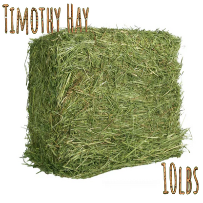 Timothy Hay 10 LBS