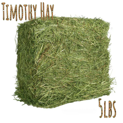 Timothy Hay 5 LBS