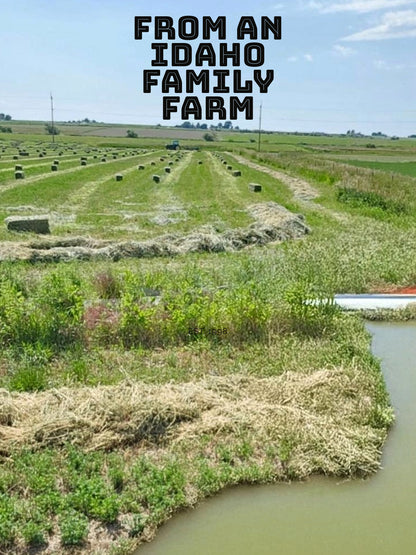 Timothy Hay for Rabbits & Small Pets 5 lbs